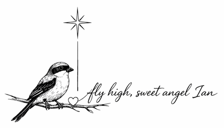 Dibujo a pluma de un pequeño pájaro en una rama bajo una estrella, con la leyenda: vuela alto, dulce ángel Ian.