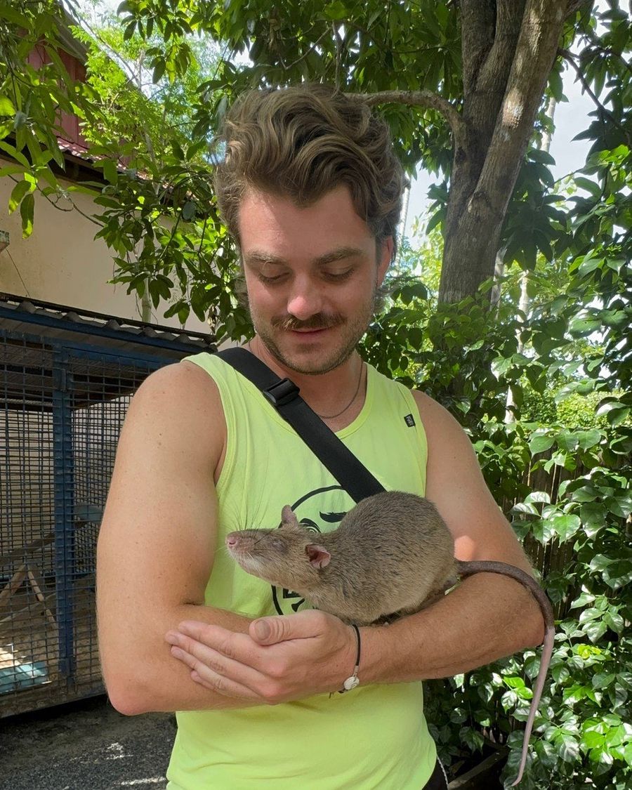 Ian sosteniendo en brazos a un gran HeroRAT marsupial, en Australia.