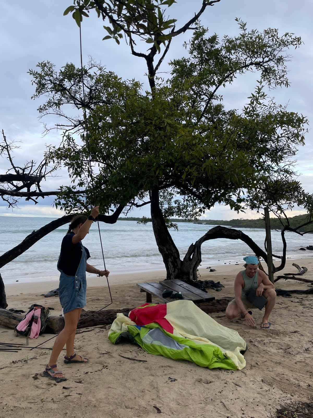 Ian y un amigo armando una carpa bajo un árbol retorcido en una playa de las Galápagos al atardecer, con el oleaje y una mesa de picnic al lado.